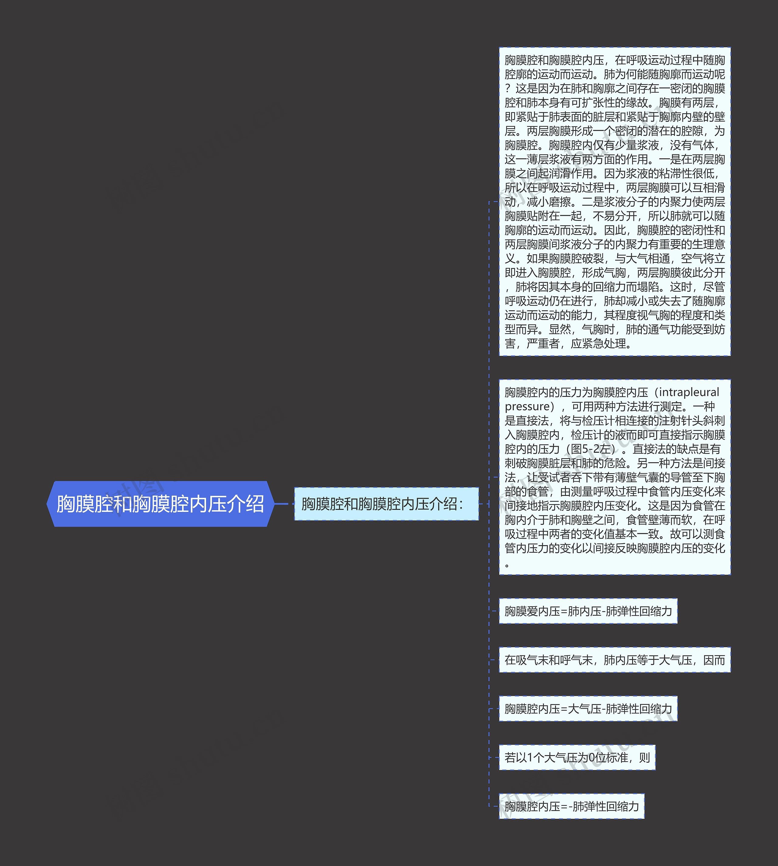 胸膜腔和胸膜腔内压介绍 胸膜腔和胸膜腔内压介绍