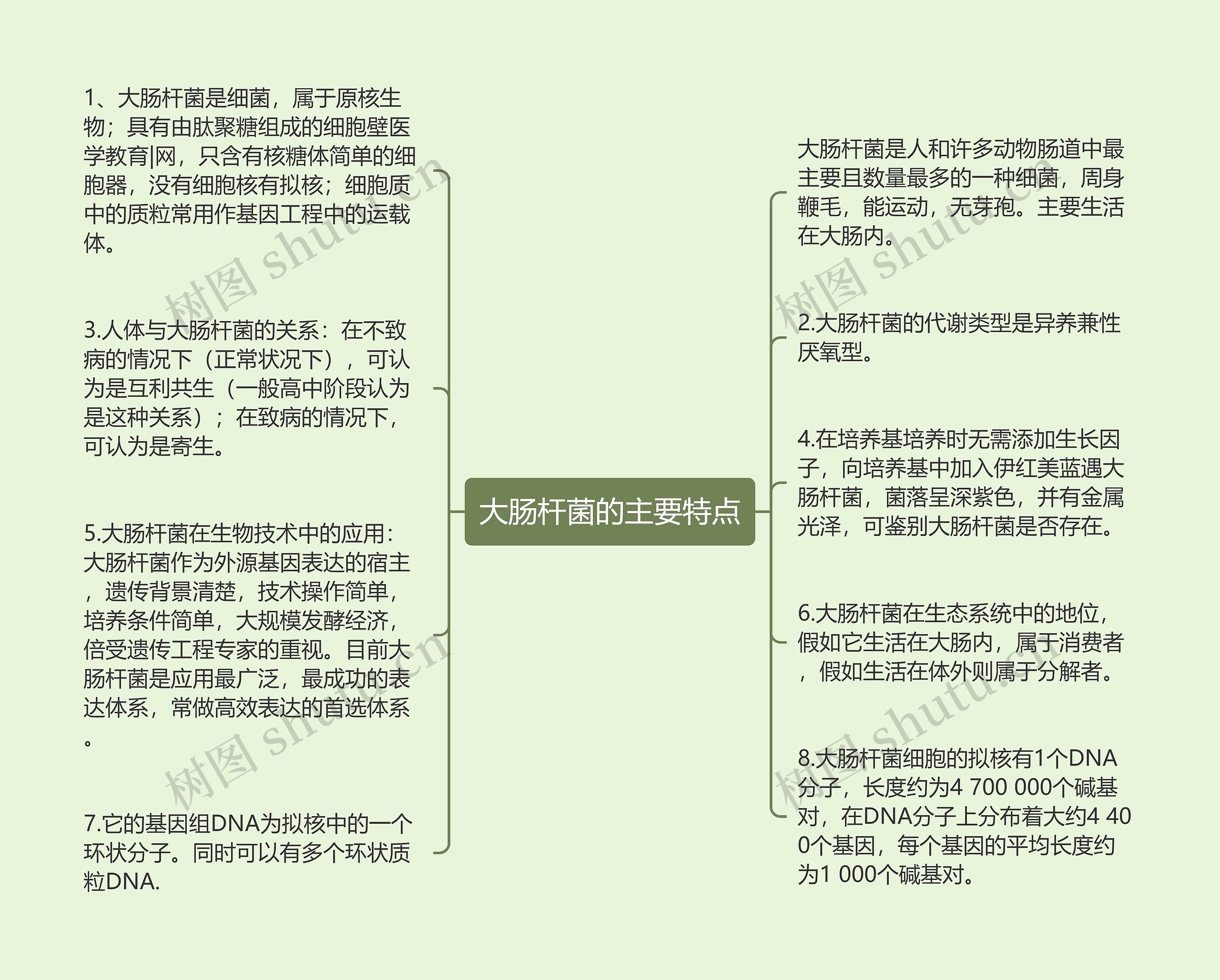 大肠杆菌的主要特点思维导图