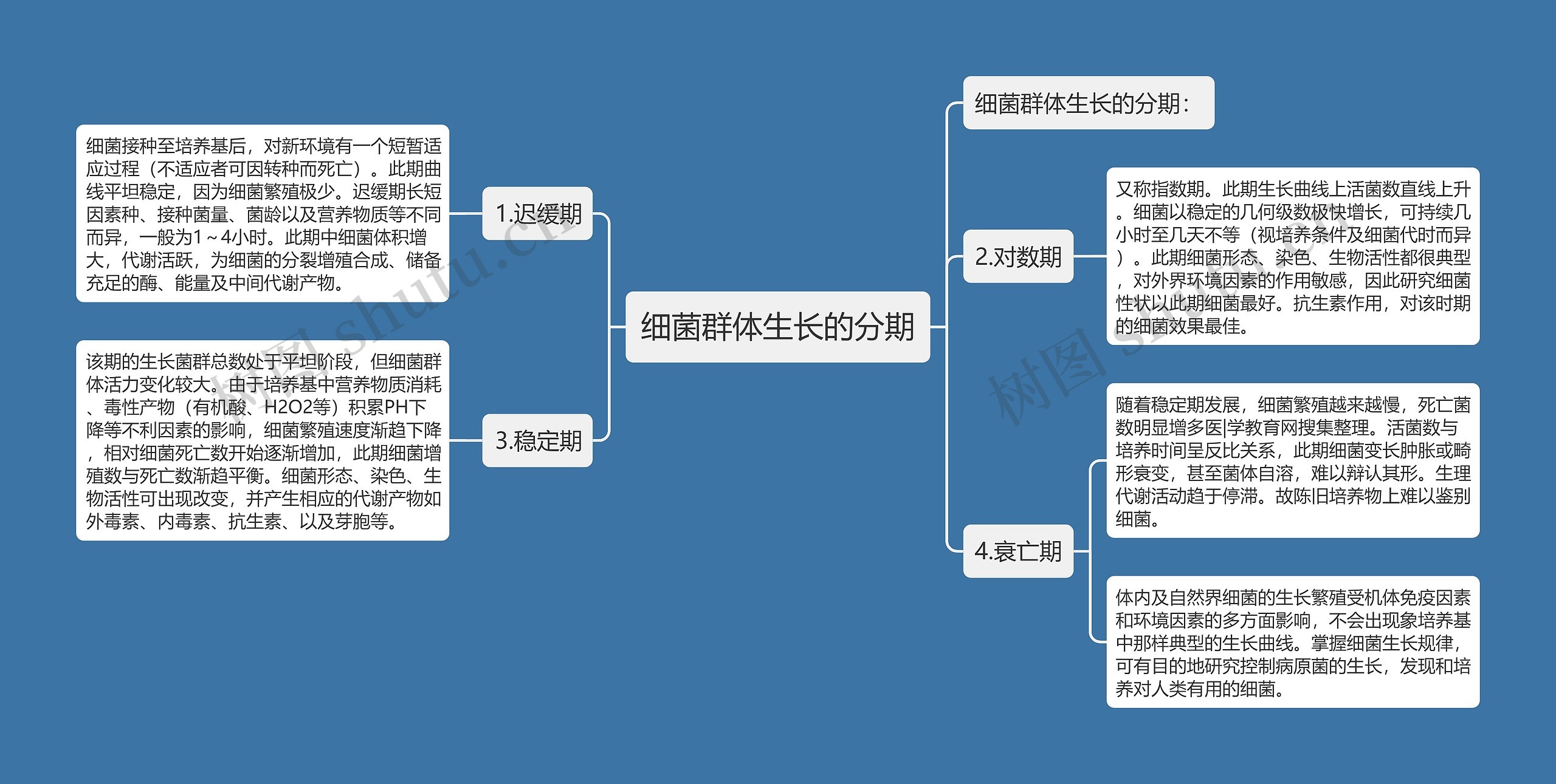 细菌群体生长的分期