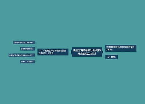 主要营养物质在小肠内的吸收部位及机制