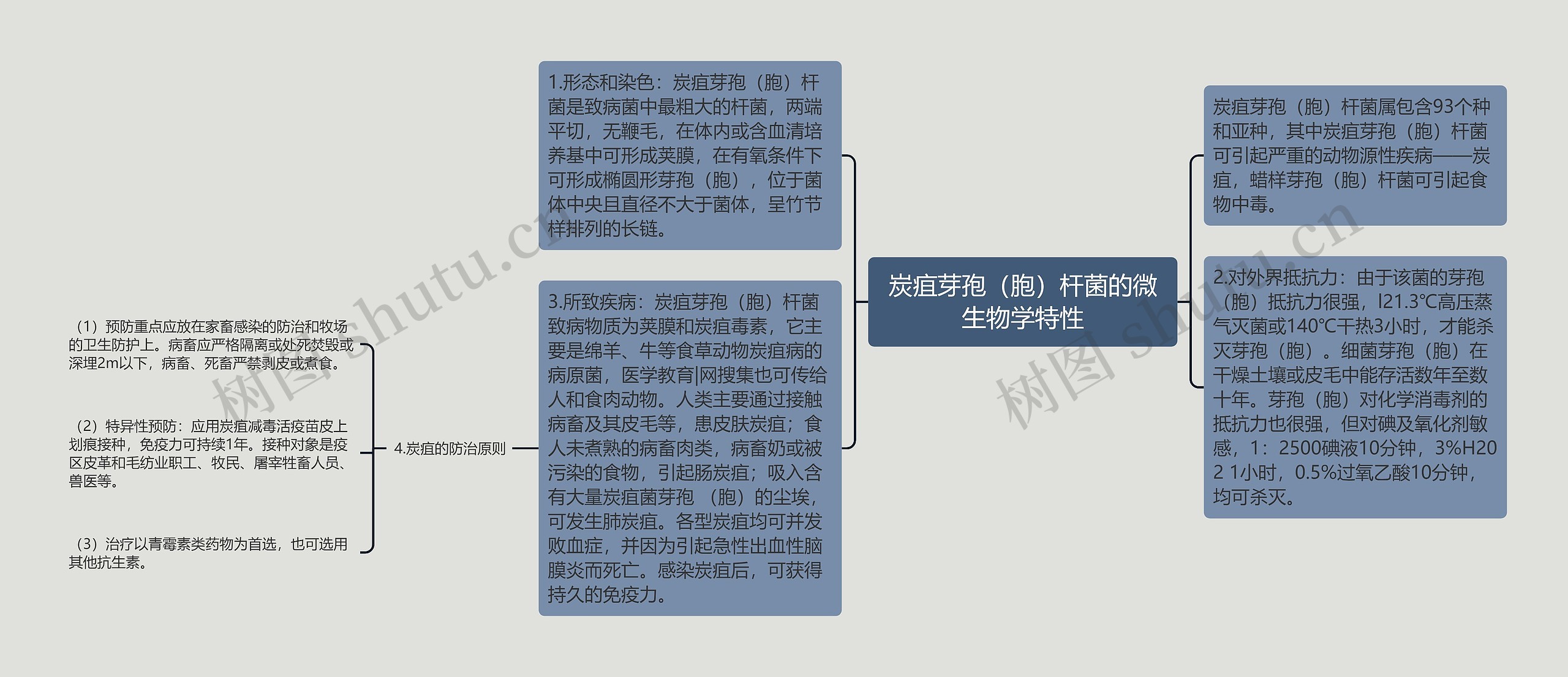 炭疽芽孢（胞）杆菌的微生物学特性思维导图