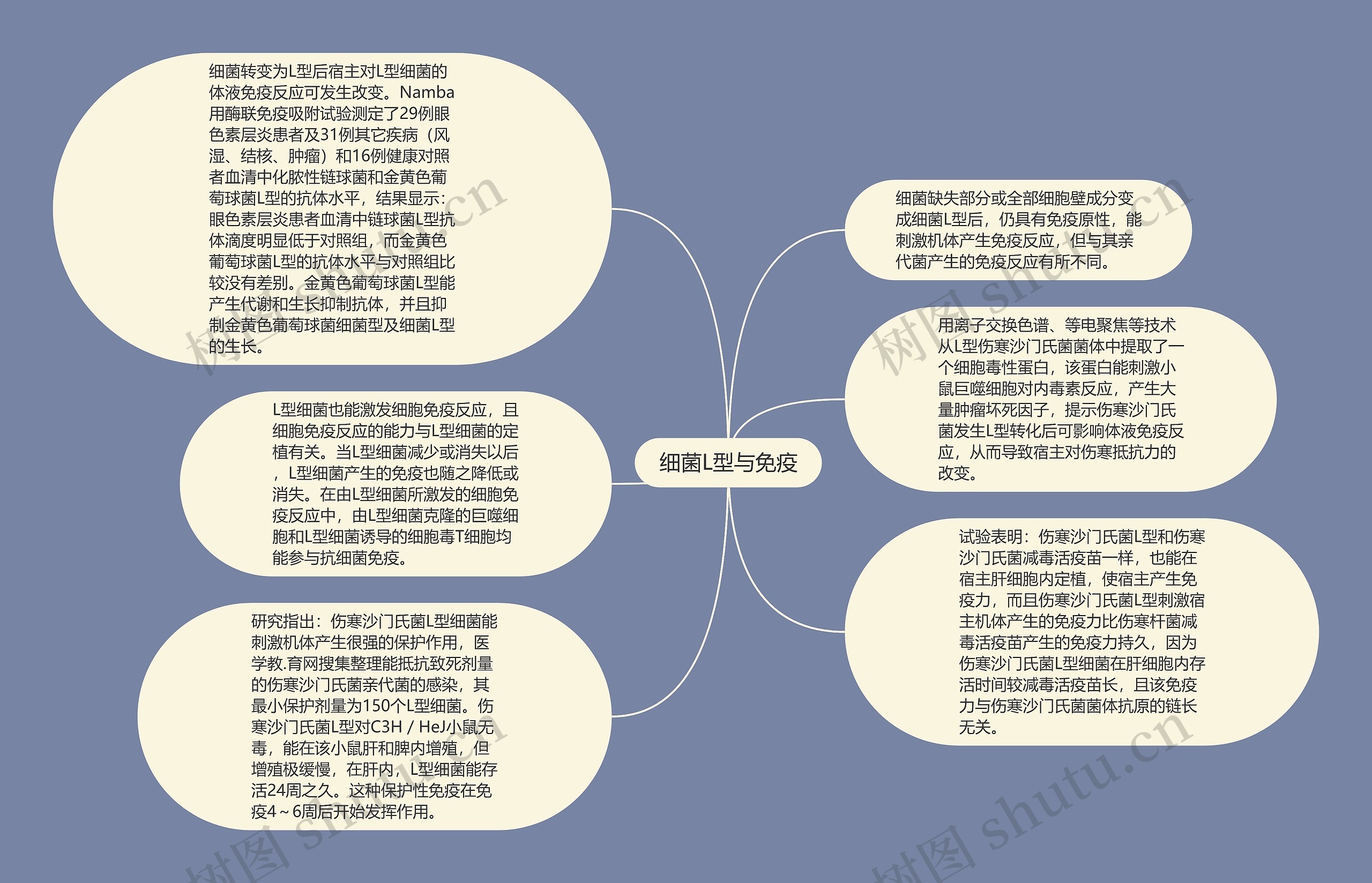 细菌L型与免疫思维导图