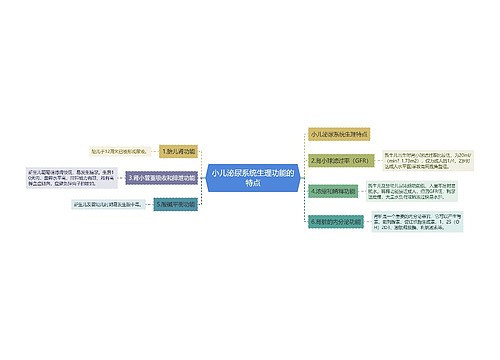 小儿泌尿系统生理功能的特点