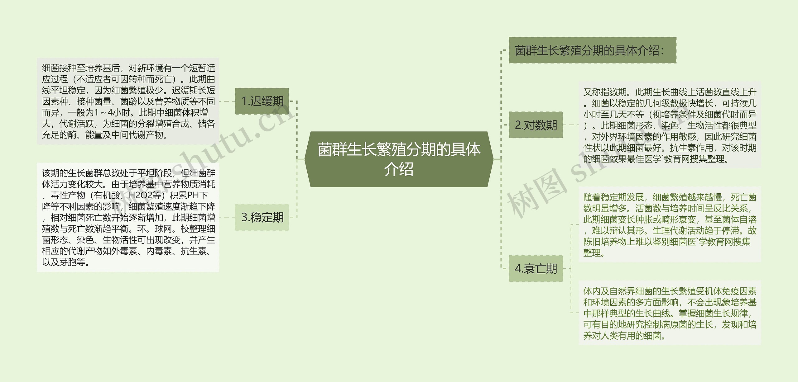 菌群生长繁殖分期的具体介绍