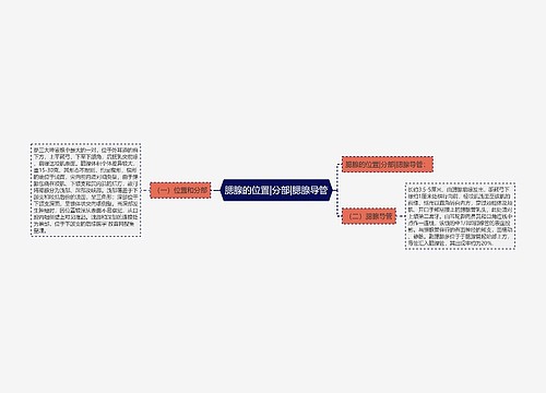 腮腺的位置|分部|腮腺导管