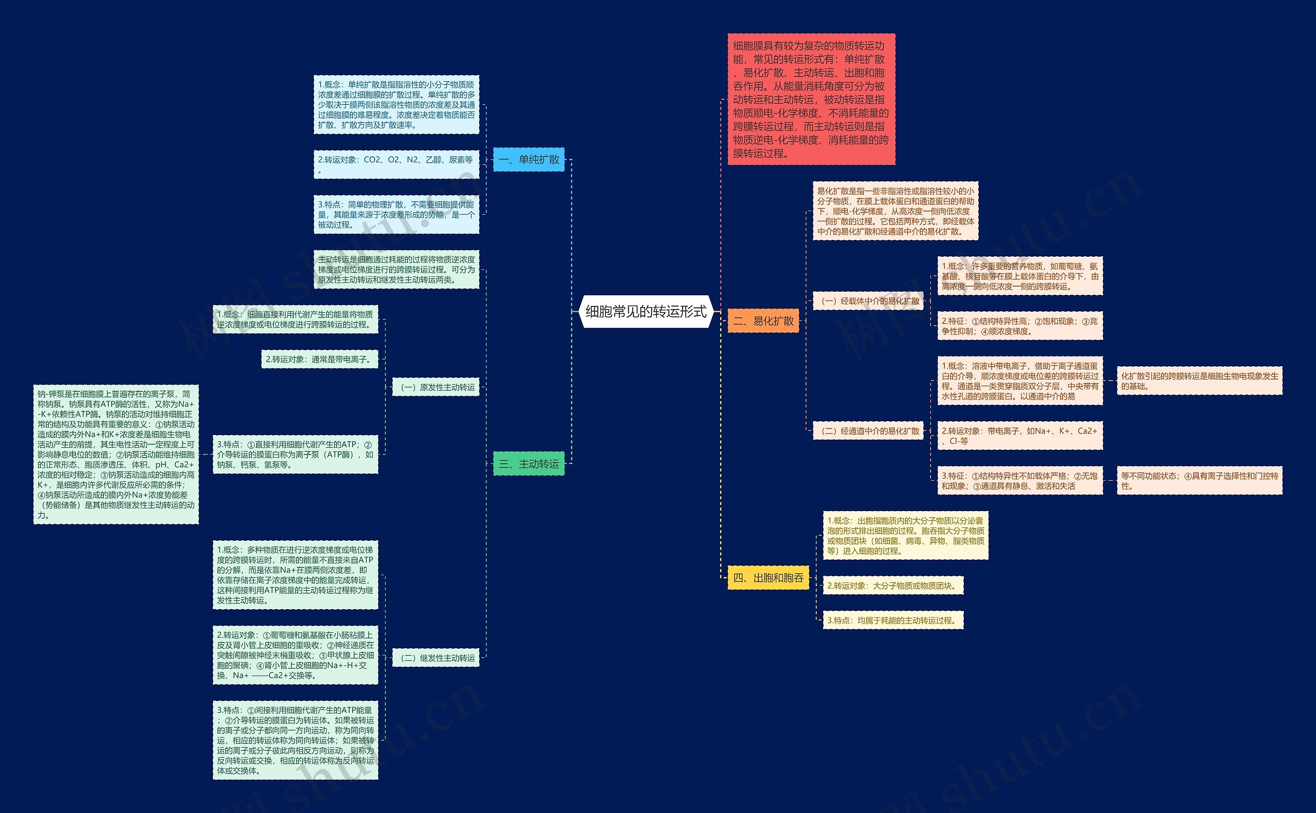 细胞常见的转运形式思维导图