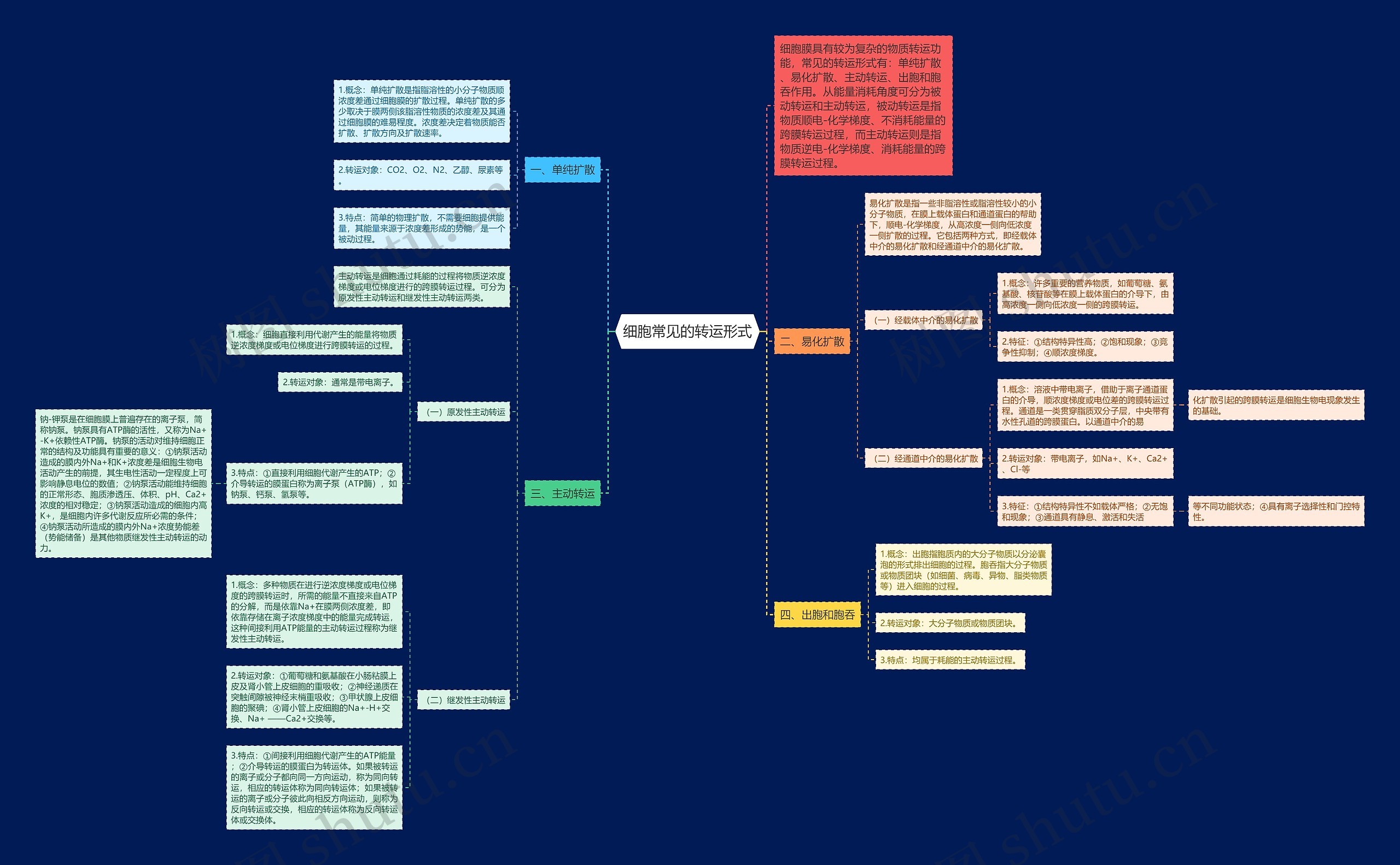 细胞常见的转运形式 细胞常见的转运形式