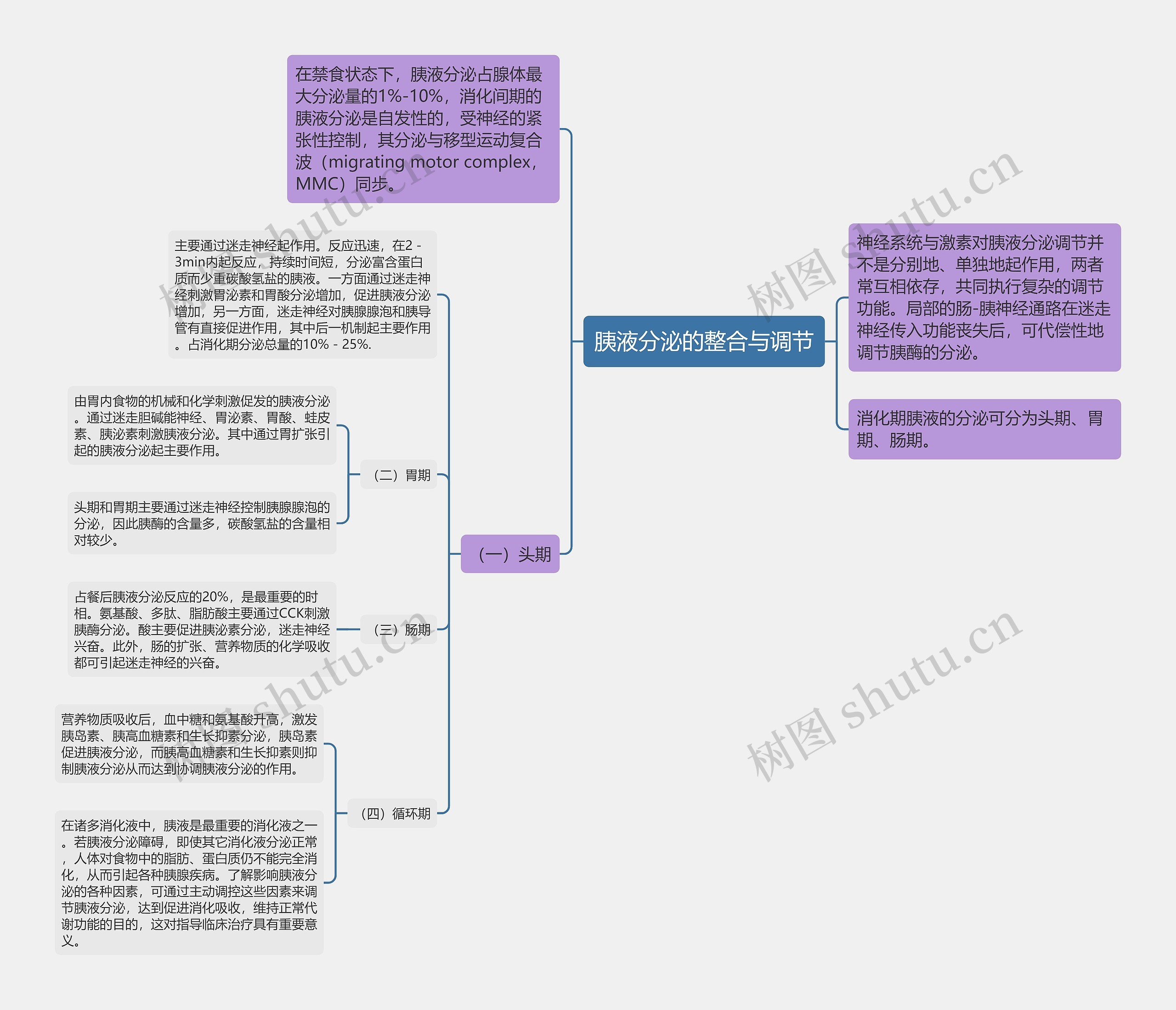 胰液分泌的整合与调节思维导图