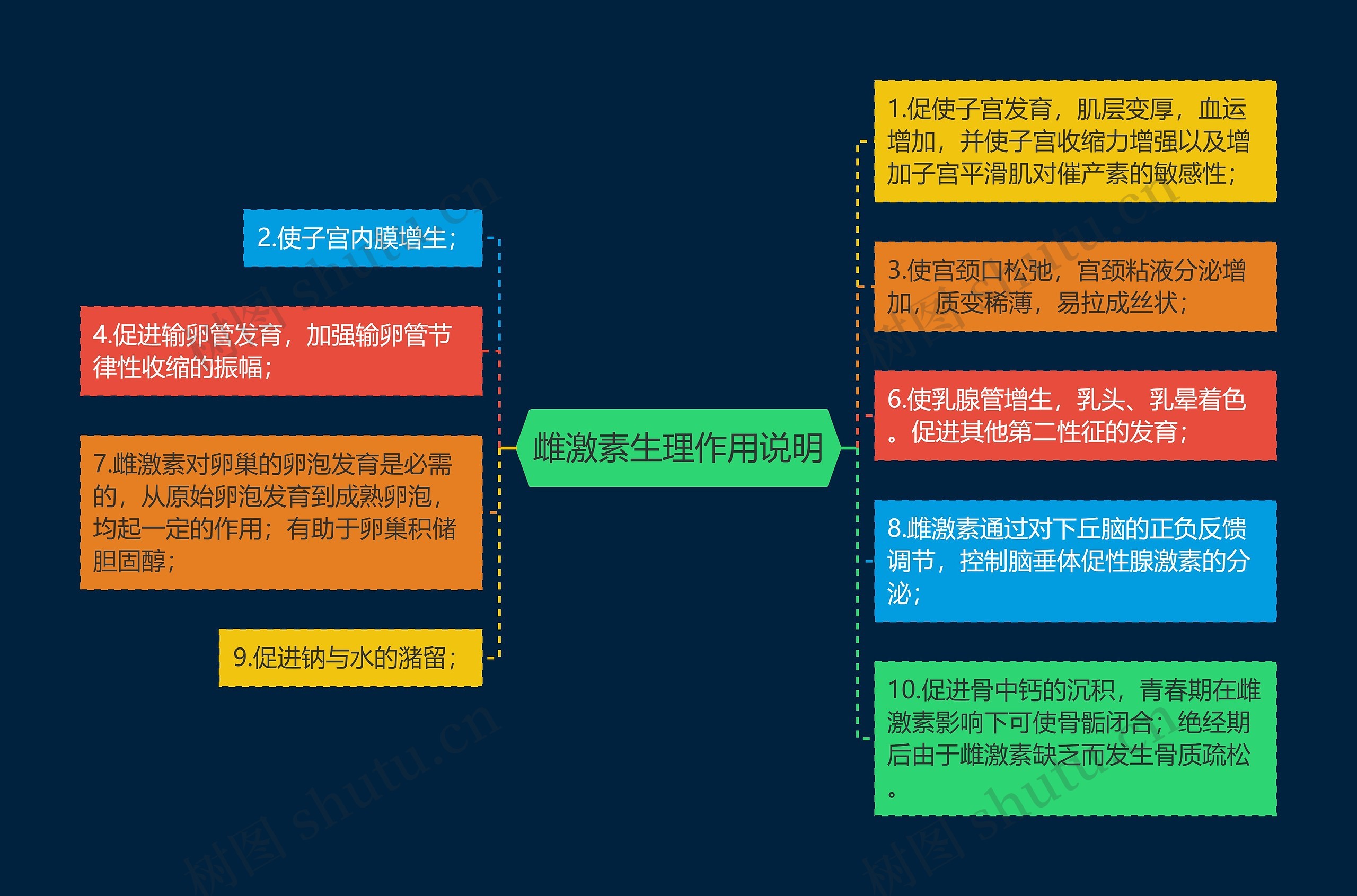 雌激素生理作用说明思维导图