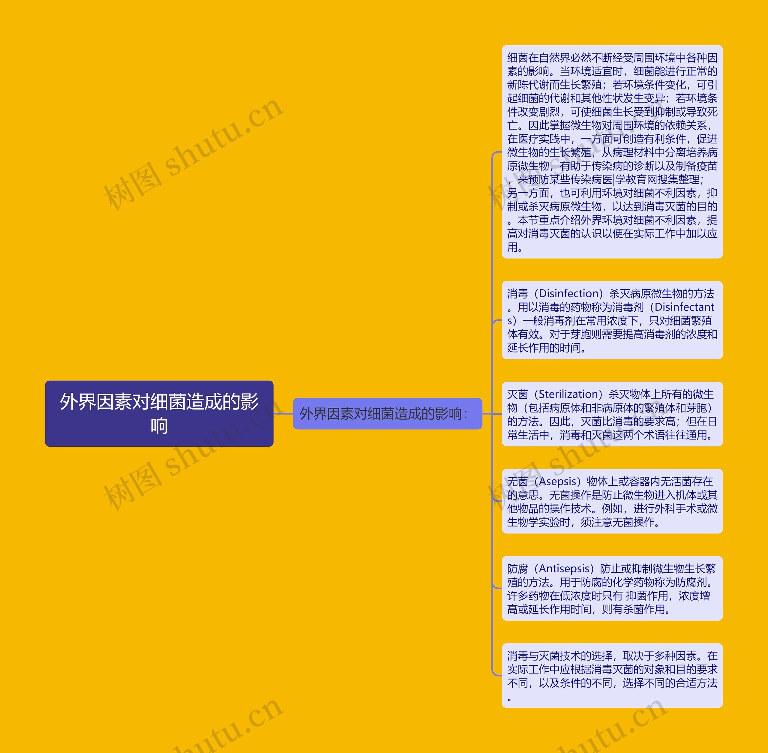 外界因素对细菌造成的影响思维导图