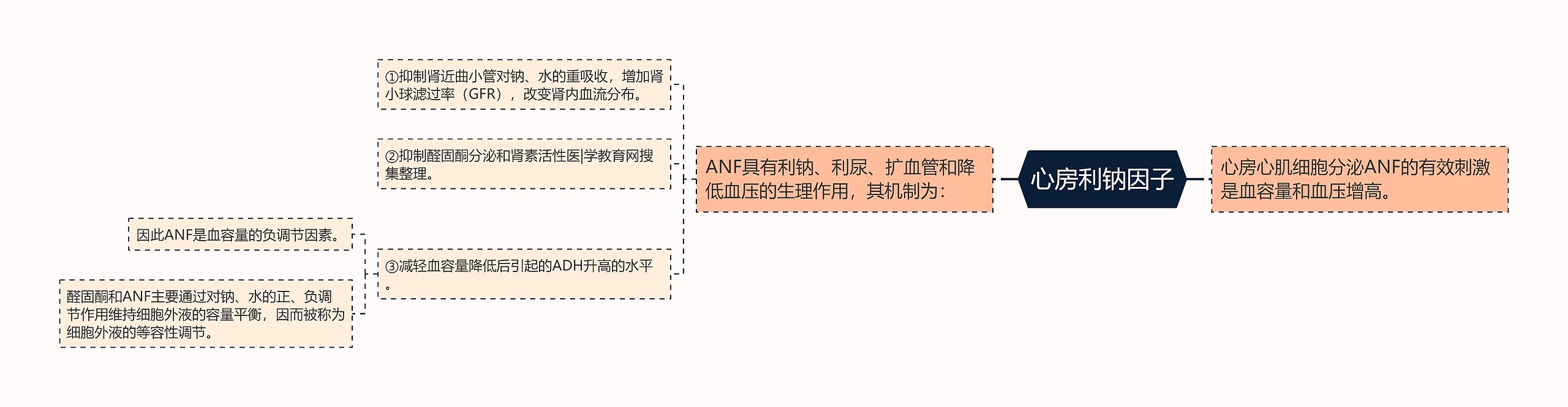 心房利钠因子思维导图