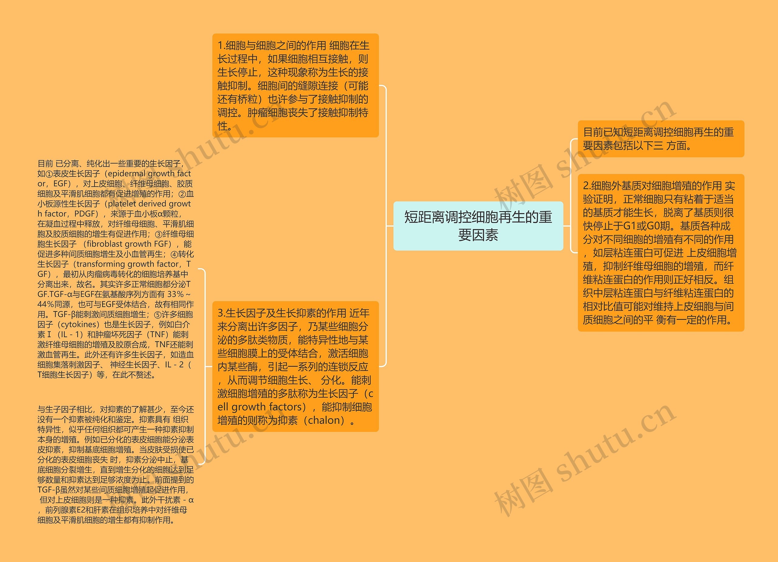 短距离调控细胞再生的重要因素思维导图