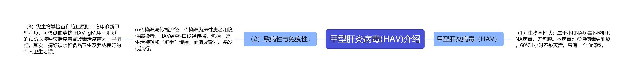 甲型肝炎病毒(HAV)介绍思维导图