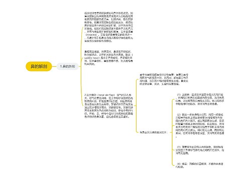 鼻的解剖