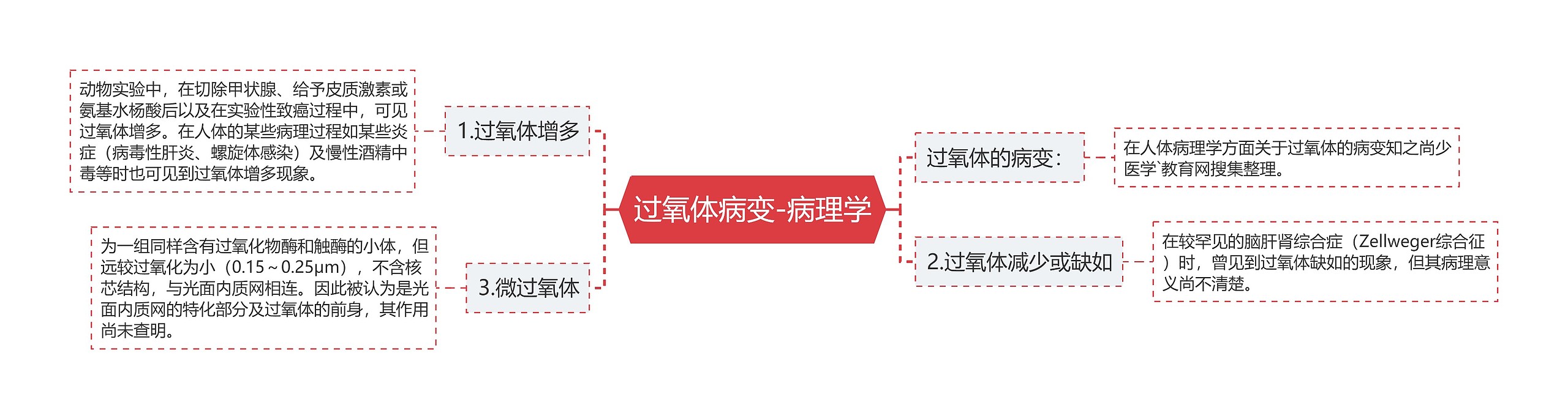 过氧体病变-病理学思维导图