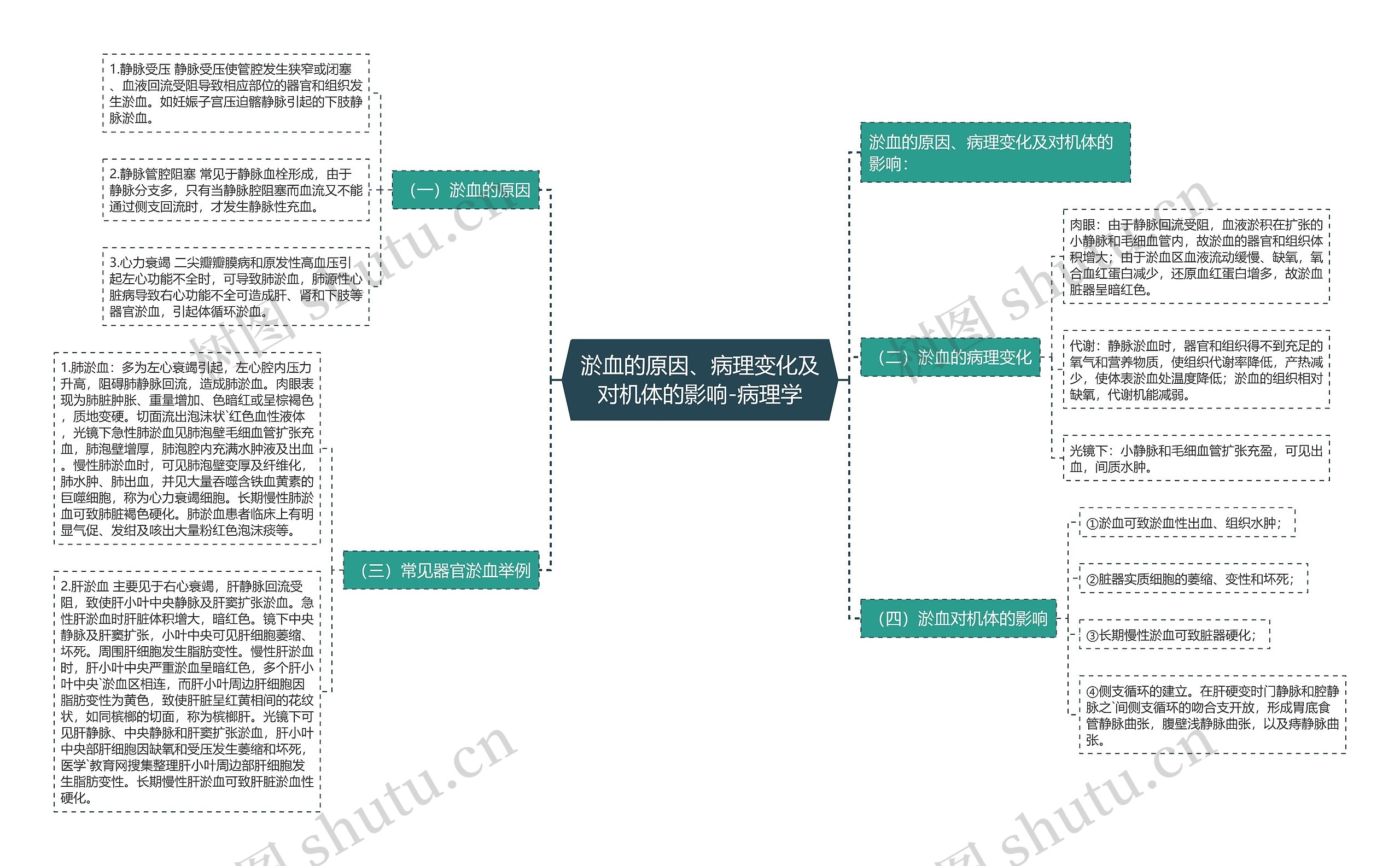 淤血的原因、病理变化及对机体的影响-病理学思维导图