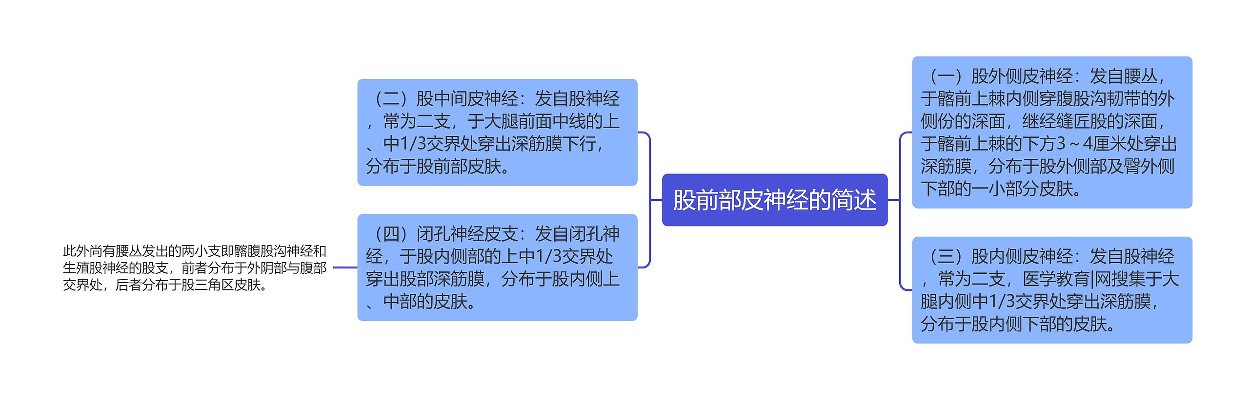 股前部皮神经的简述思维导图