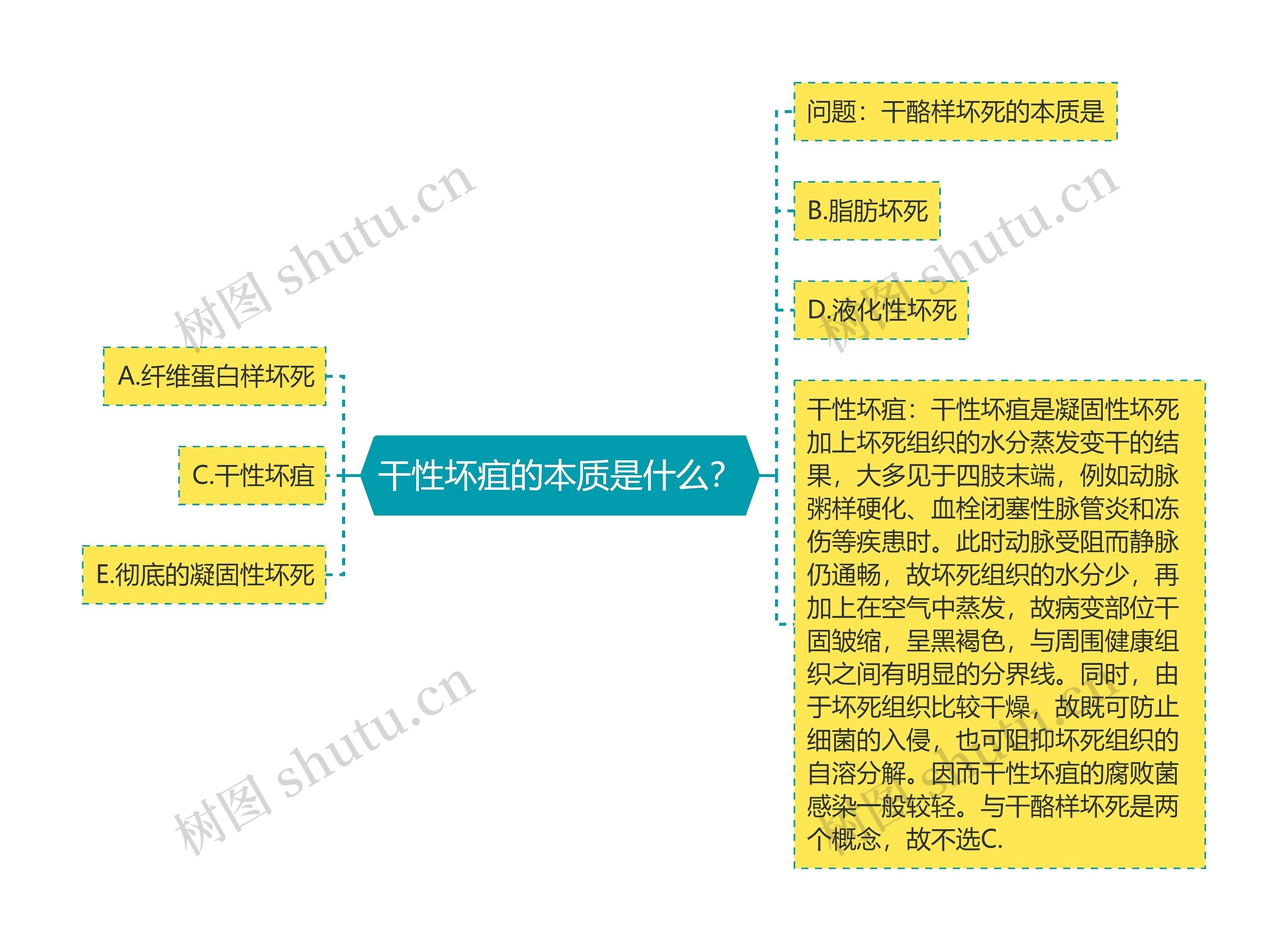 干性坏疽的本质是什么？