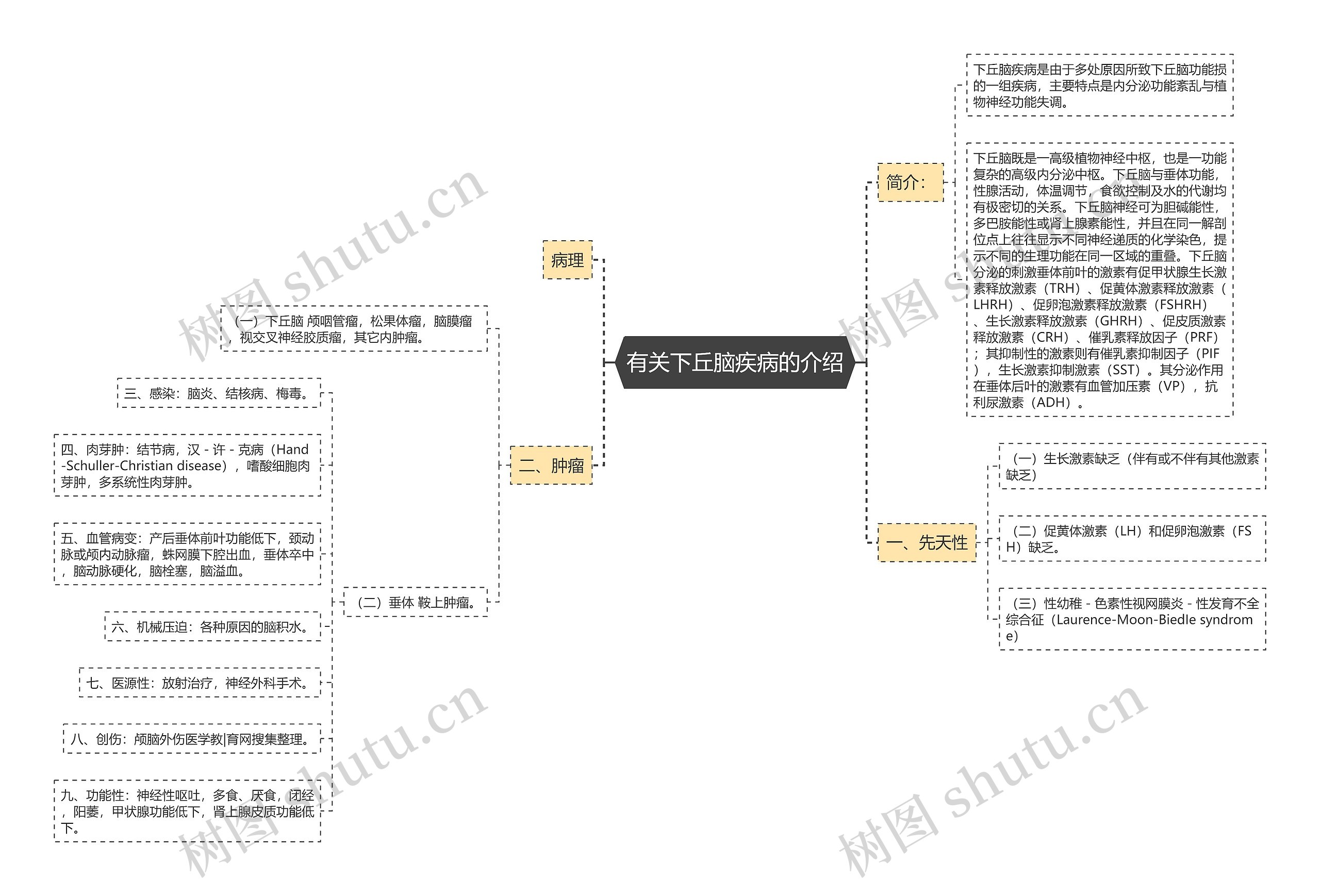 有关下丘脑疾病的介绍思维导图