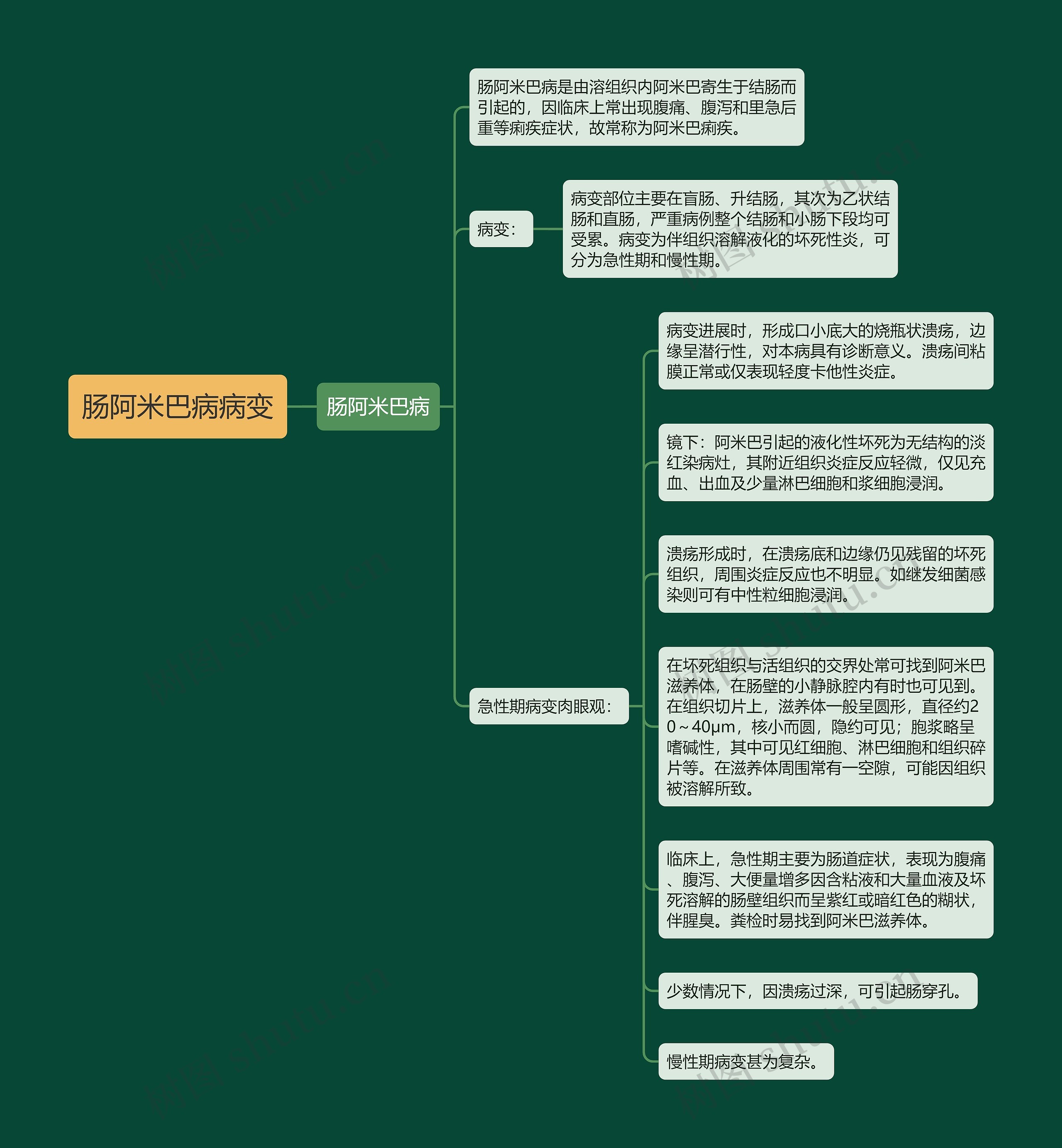 肠阿米巴病病变