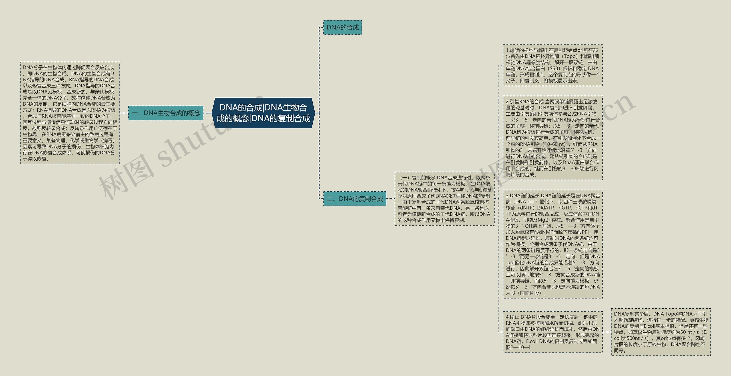 DNA的合成|DNA生物合成的概念|DNA的复制合成