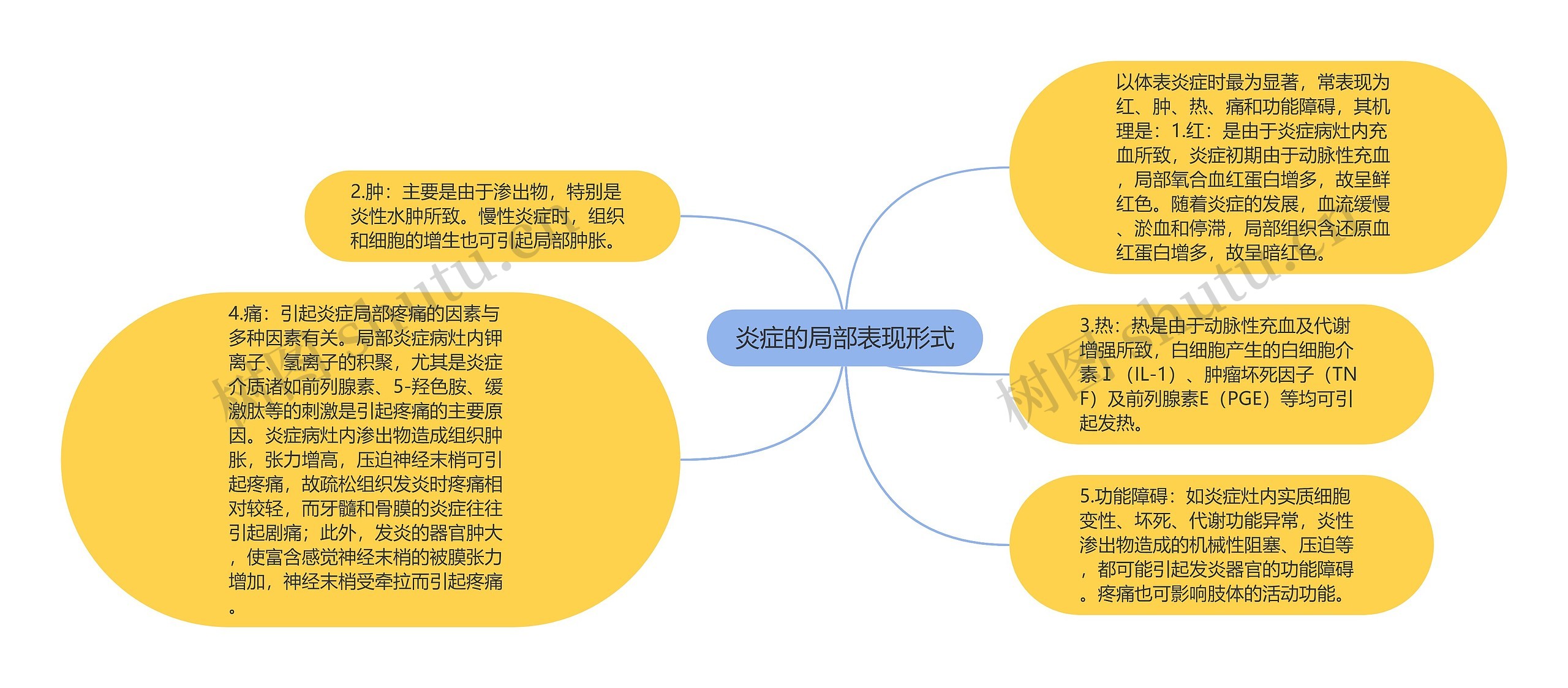 炎症的局部表现形式思维导图