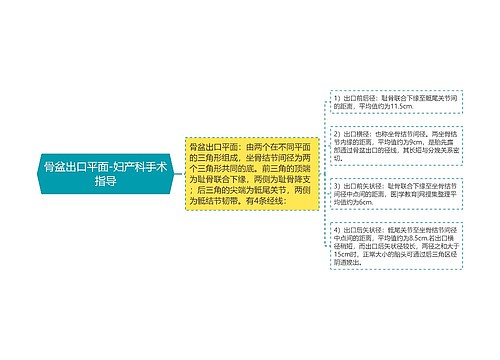 骨盆出口平面-妇产科手术指导