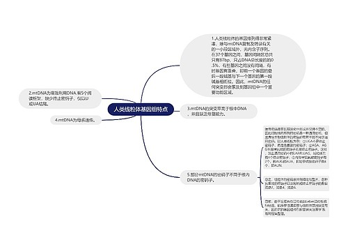 人类线粒体基因组特点