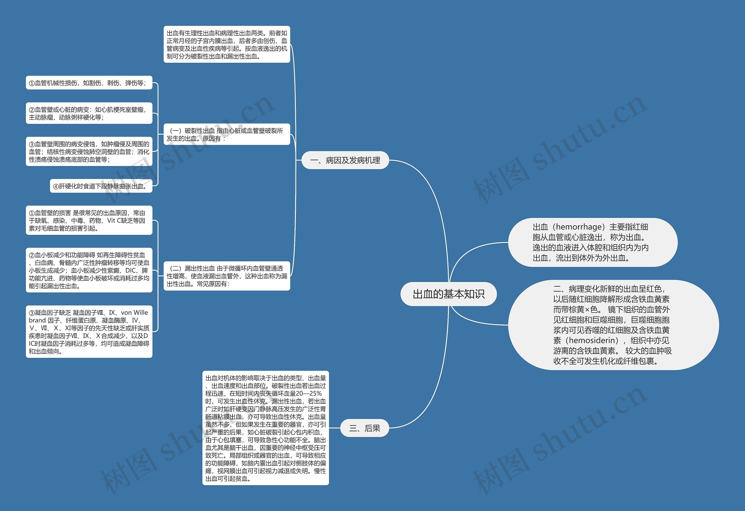出血的基本知识思维导图