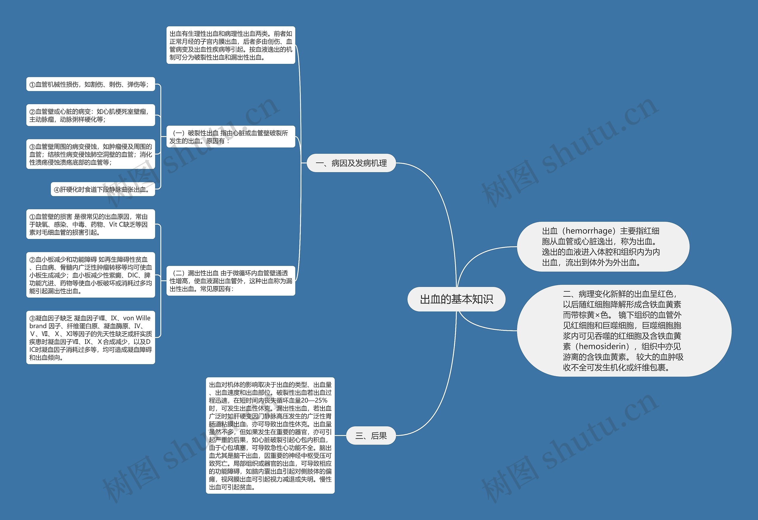 出血的基本知识 出血的基本知识
