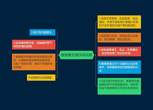 雌激素生理作用说明