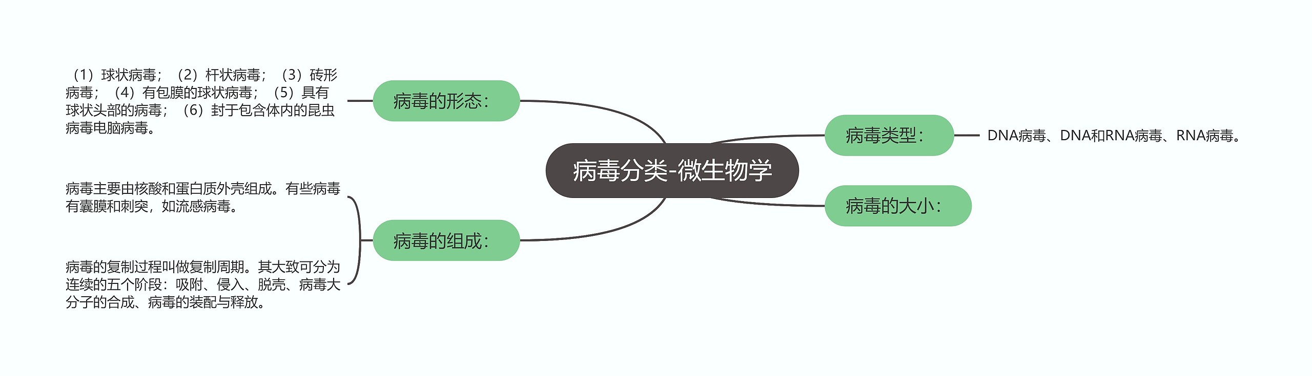 病毒分类-微生物学思维导图