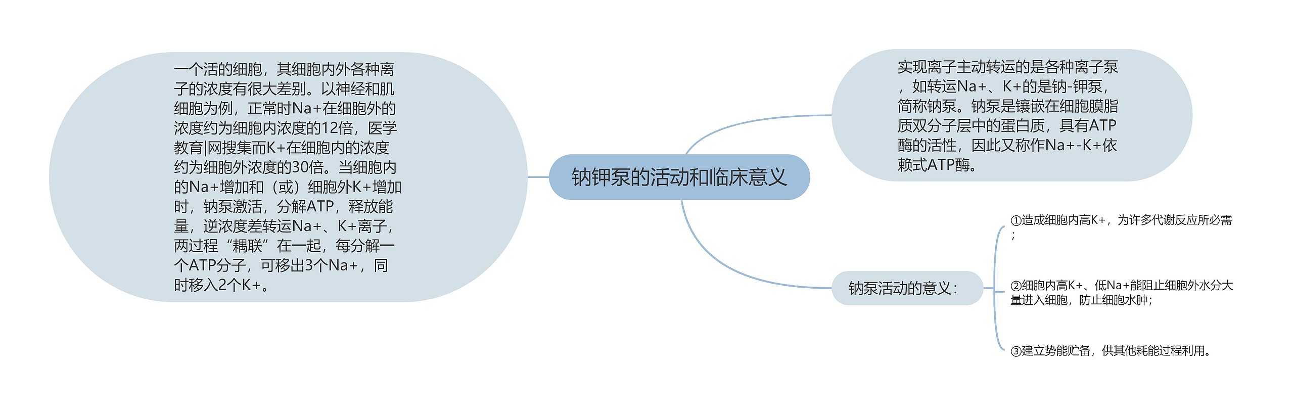 钠钾泵的活动和临床意义思维导图