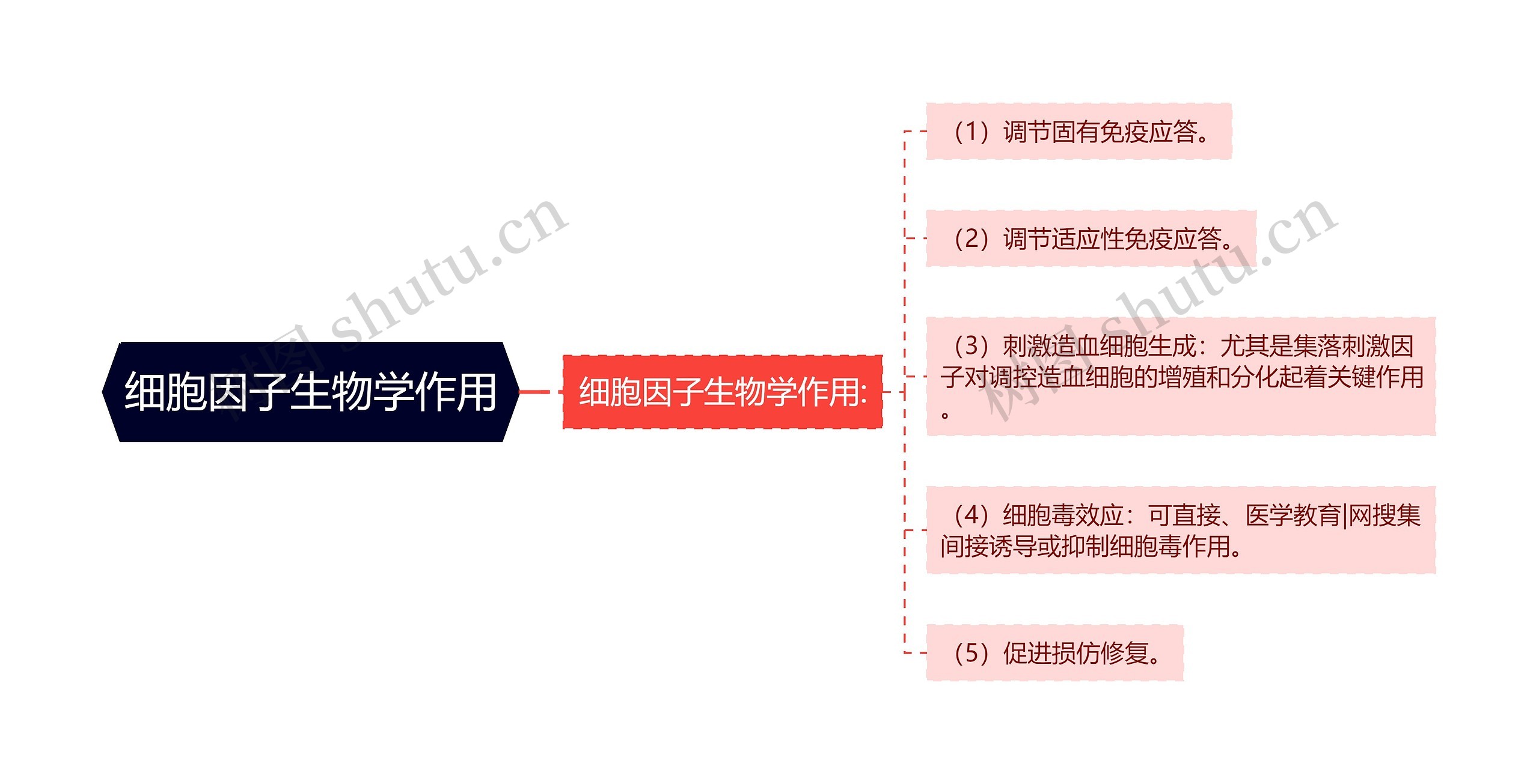 细胞因子生物学作用