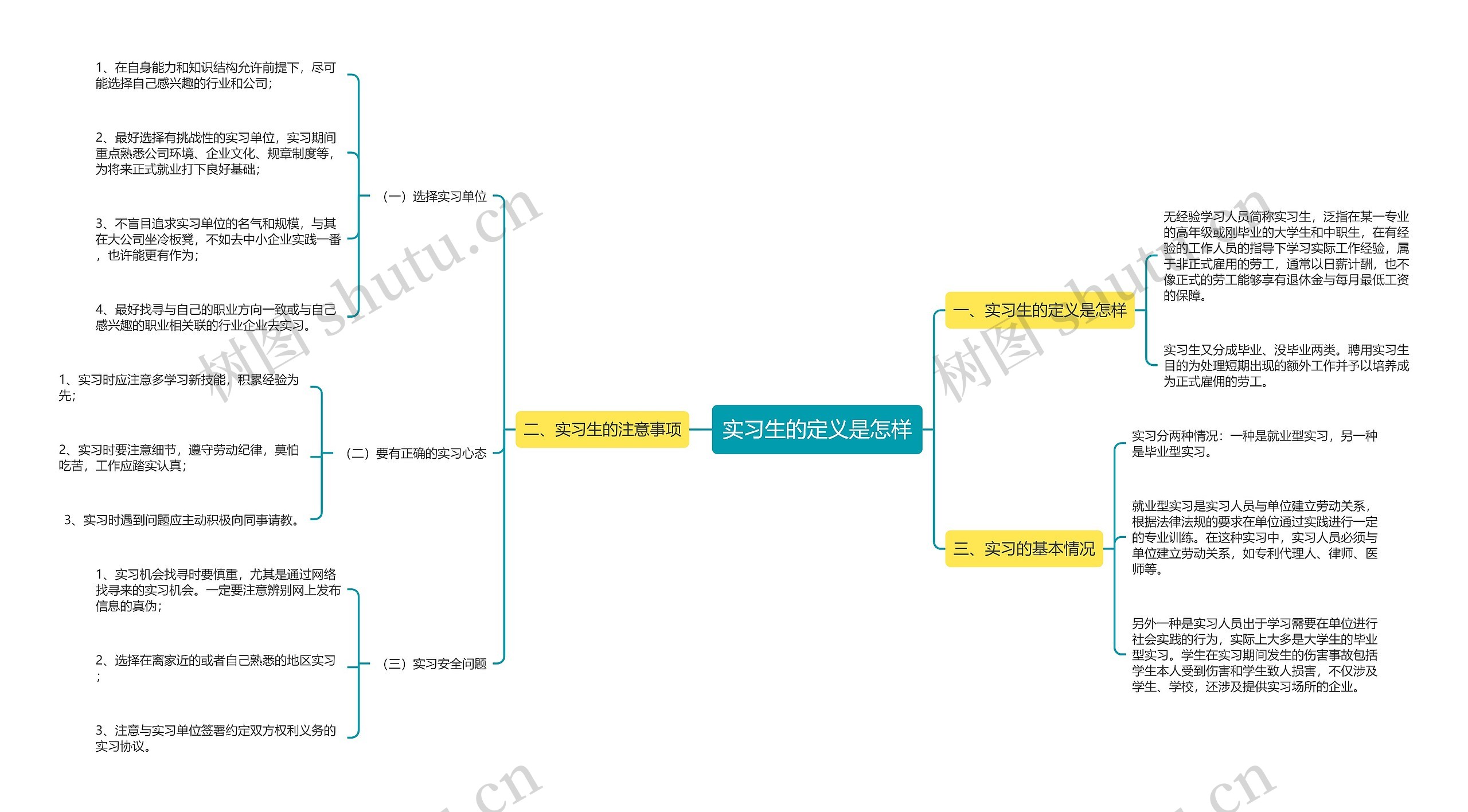 实习生的定义是怎样思维导图