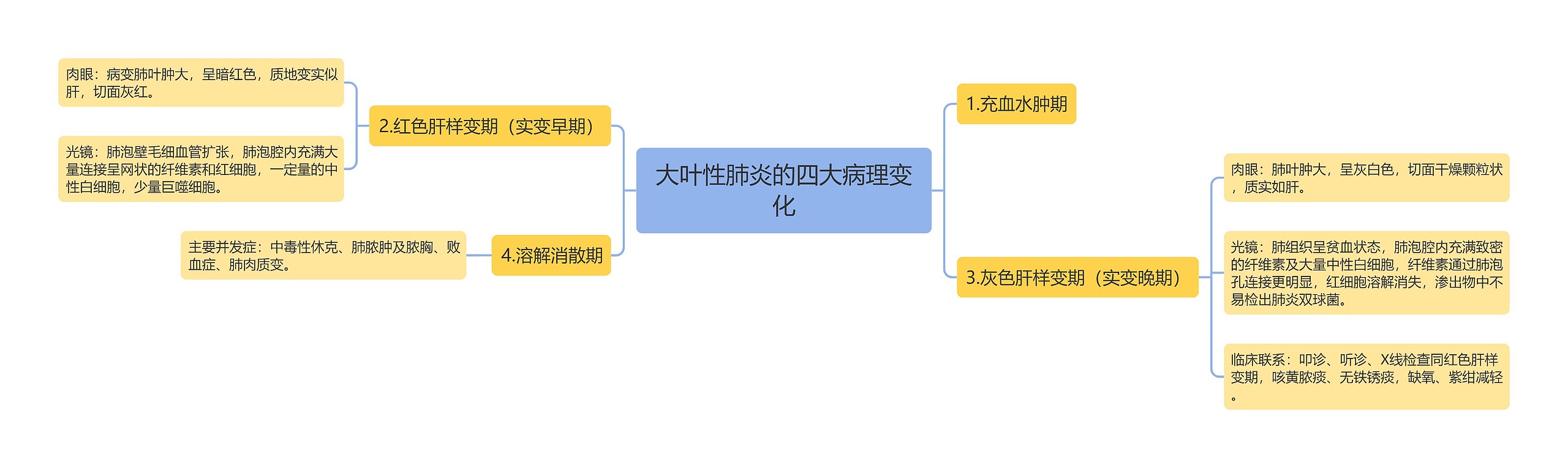 大叶性肺炎的四大病理变化