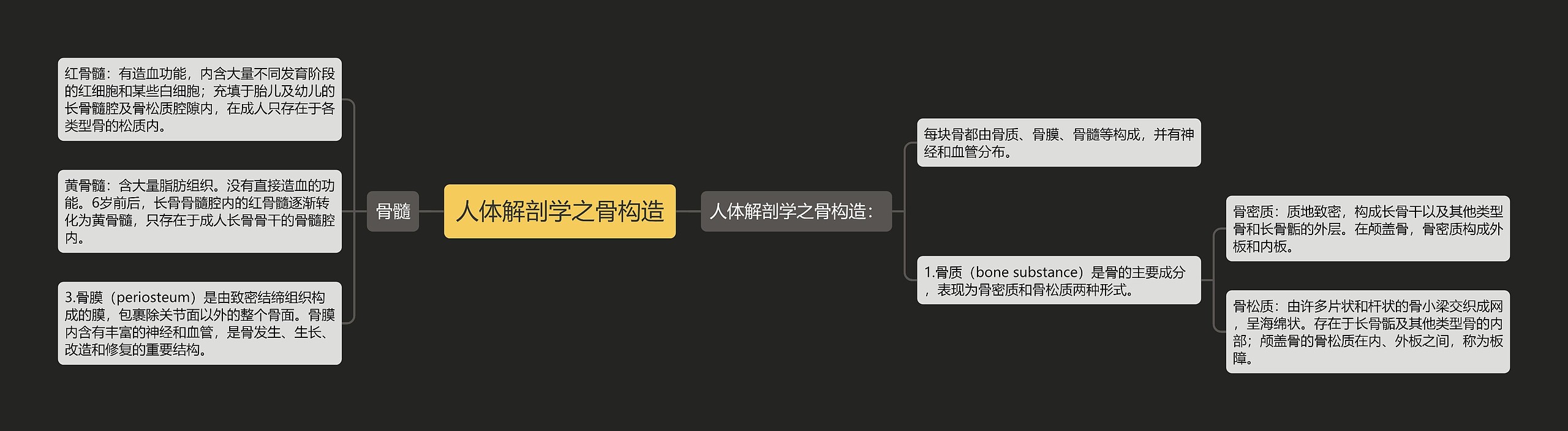 人体解剖学之骨构造 人体解剖学之骨构造