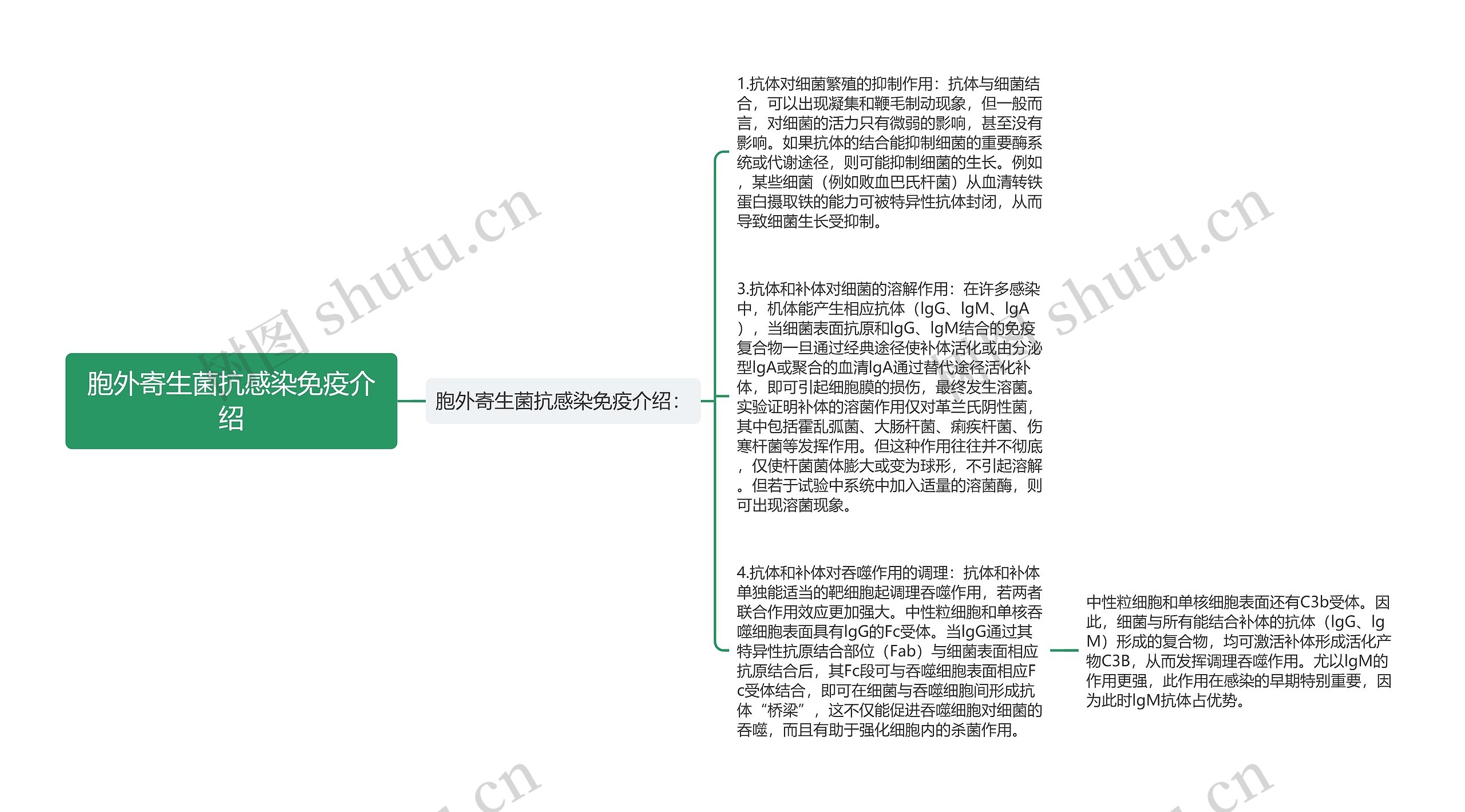 胞外寄生菌抗感染免疫介绍思维导图