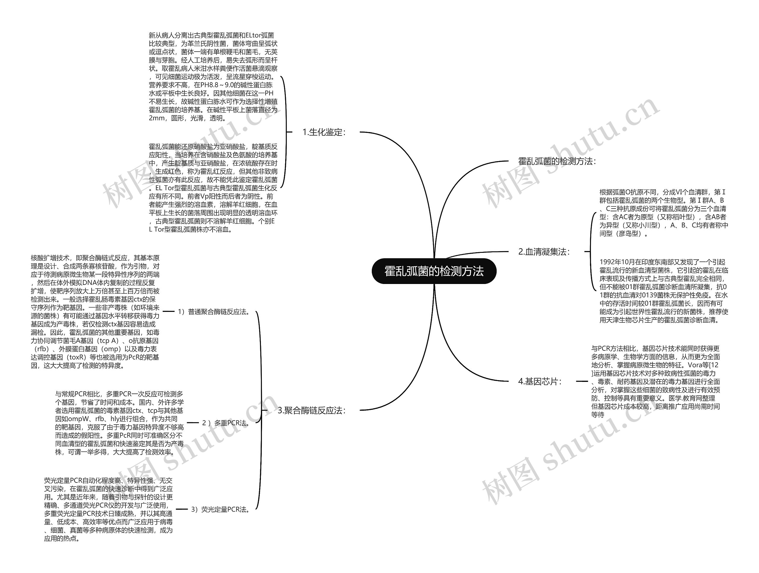 霍乱弧菌的检测方法思维导图