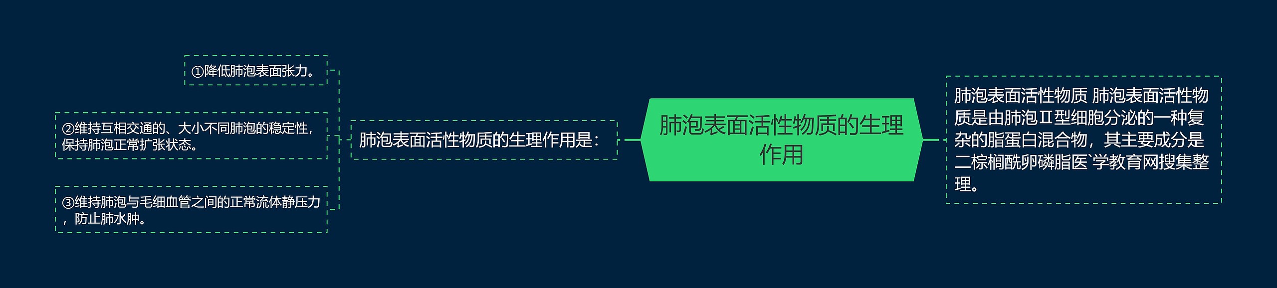 肺泡表面活性物质的生理作用思维导图