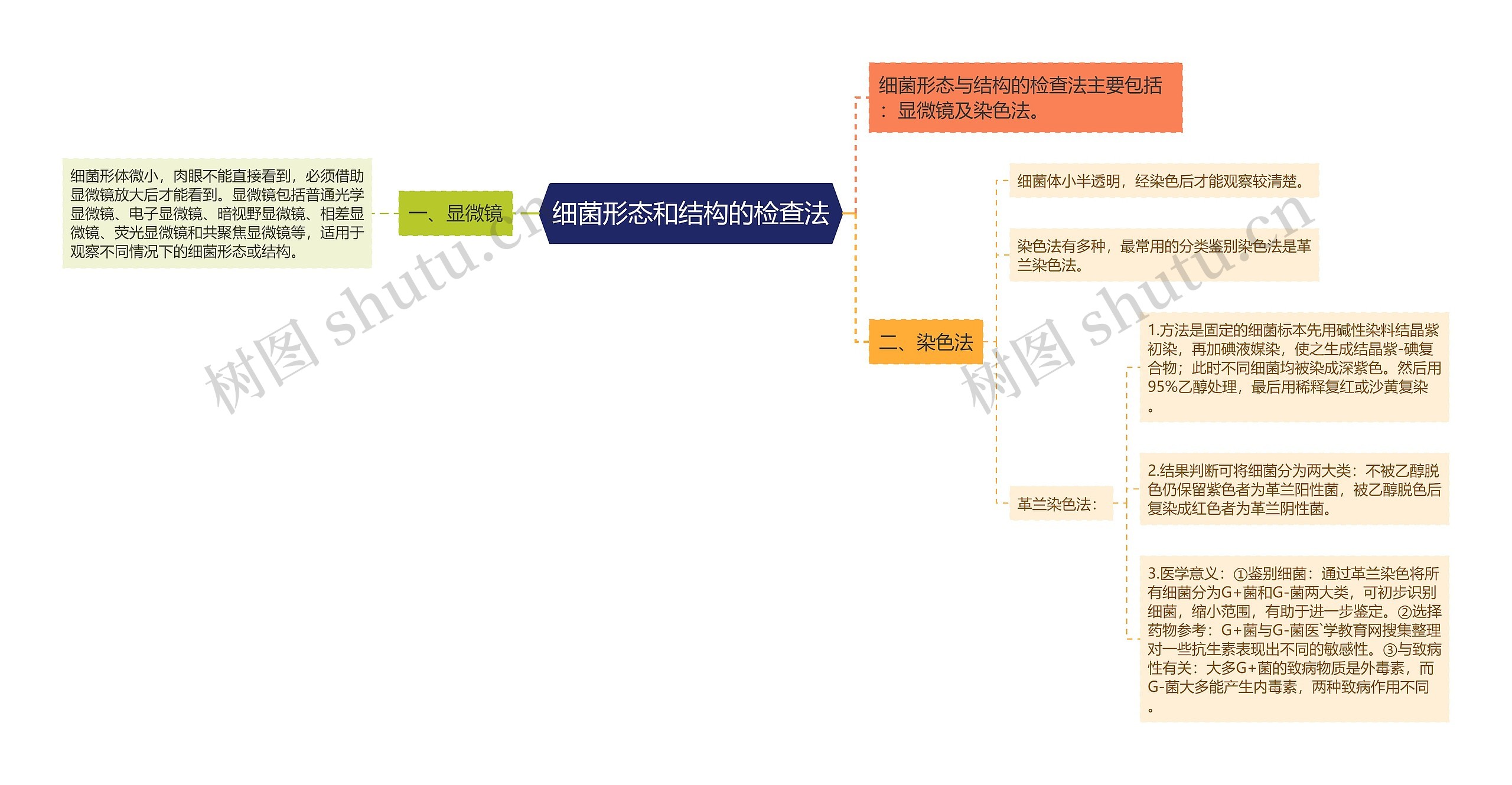 细菌形态和结构的检查法思维导图