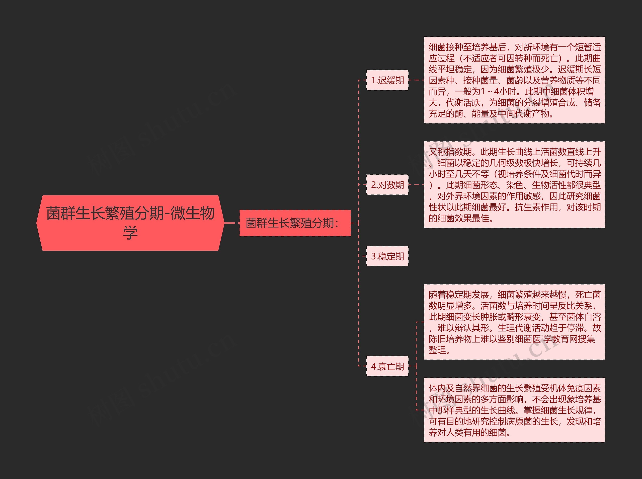 菌群生长繁殖分期-微生物学思维导图