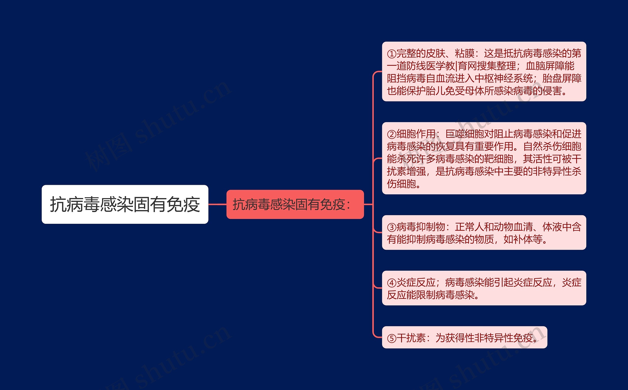 抗病毒感染固有免疫思维导图