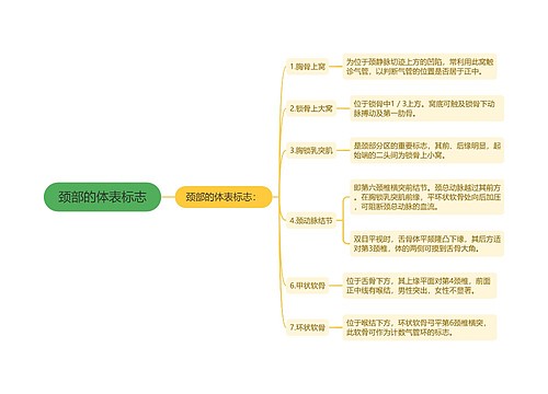 颈部的体表标志