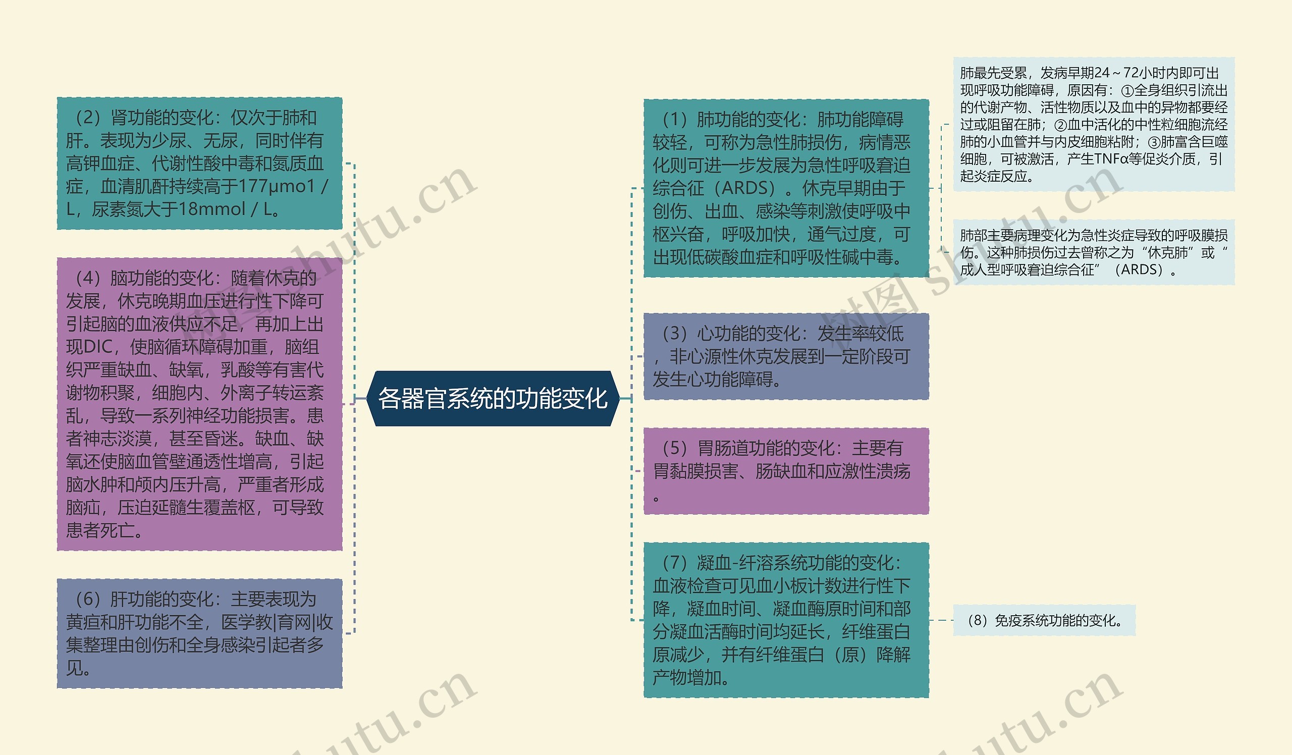 各器官系统的功能变化思维导图