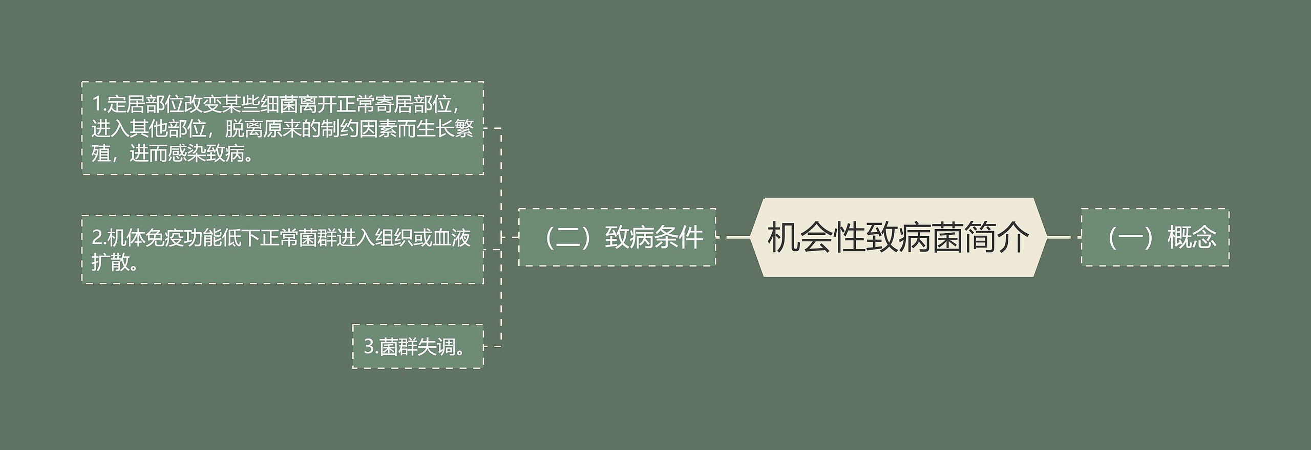 机会性致病菌简介思维导图