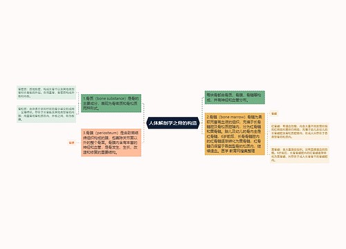 人体解剖学之骨的构造