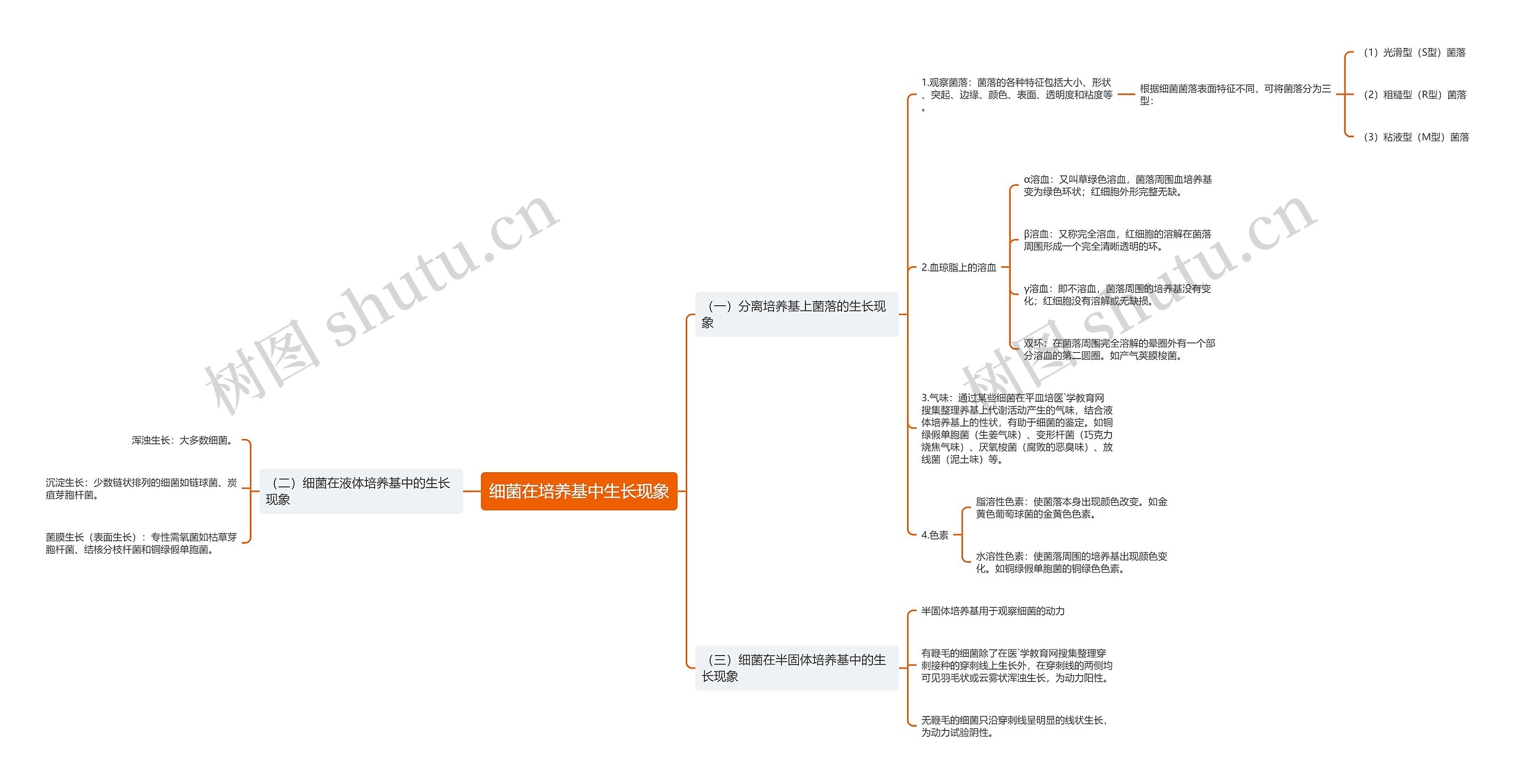 细菌在培养基中生长现象思维导图