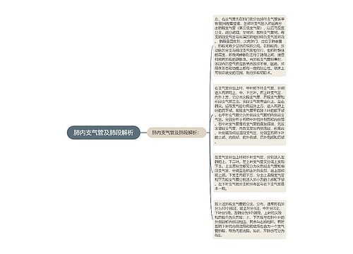 肺内支气管及肺段解析