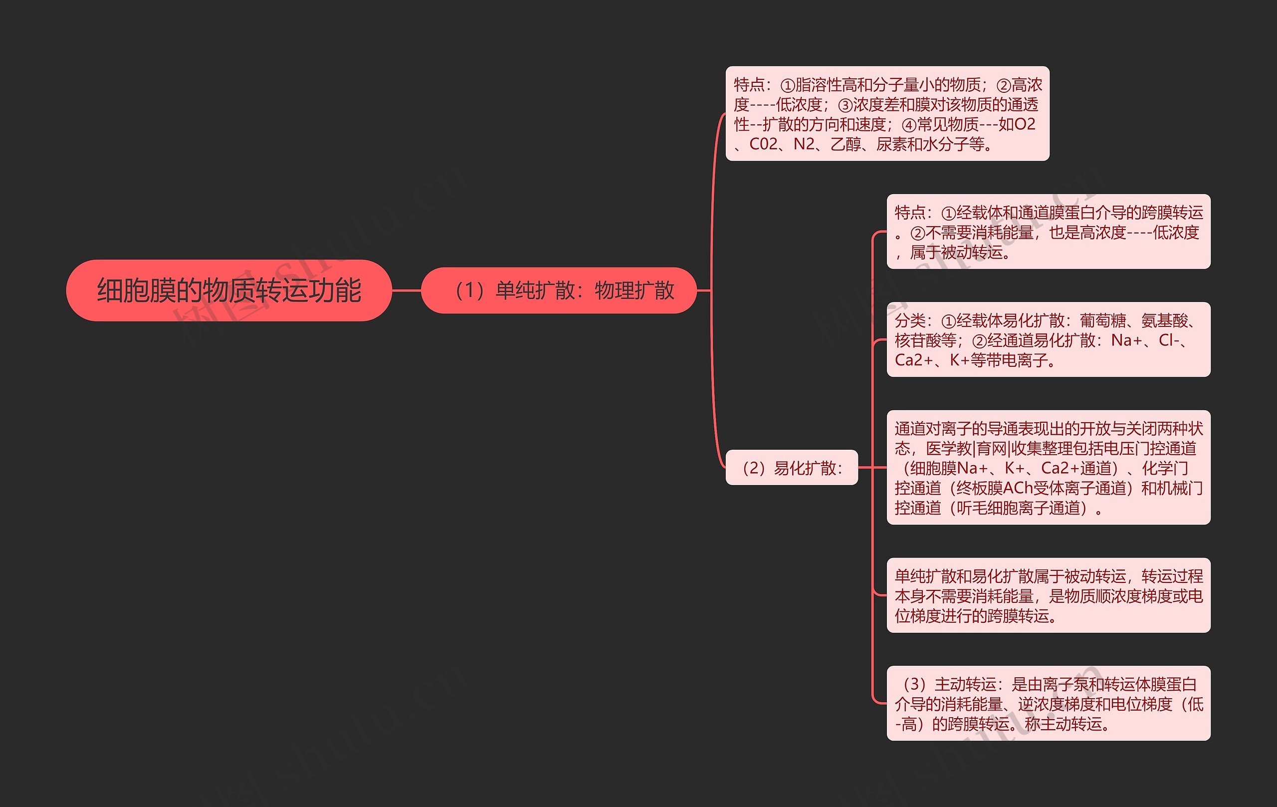 细胞膜的物质转运功能思维导图